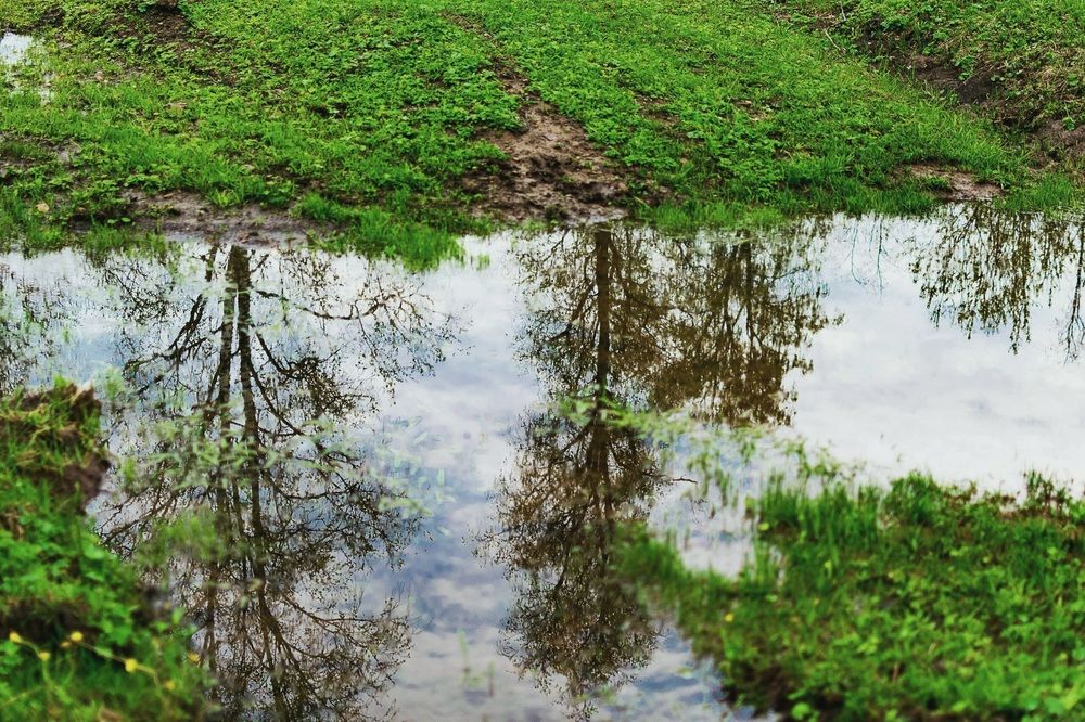 Photograph by Назмутдинова Сауия