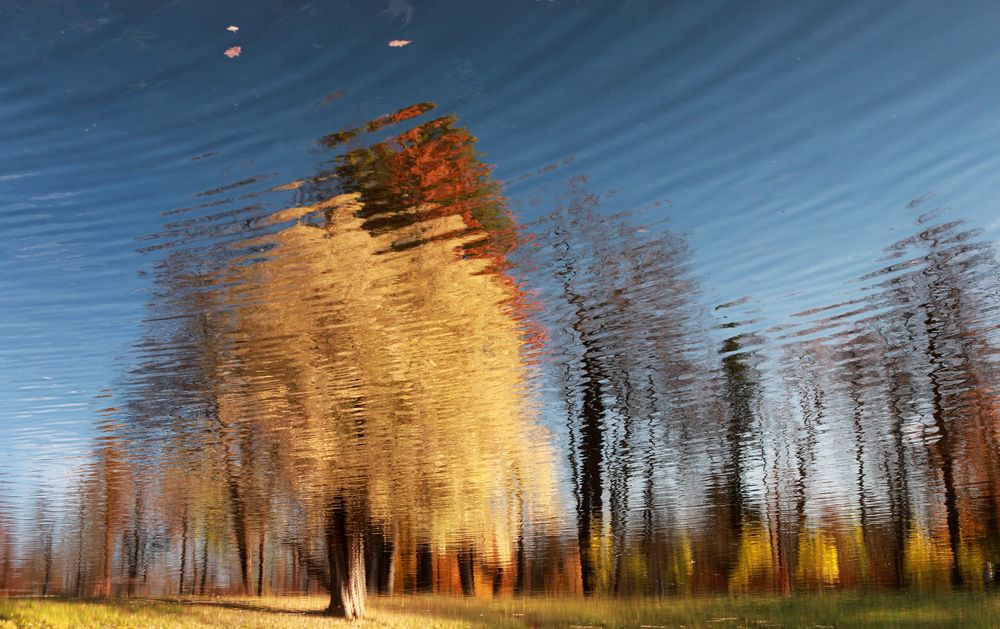 Осенний пейзаж