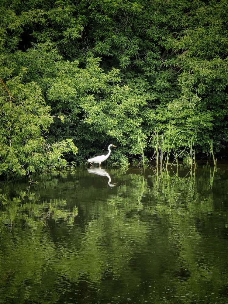 Photograph by Елена Ибрагимова