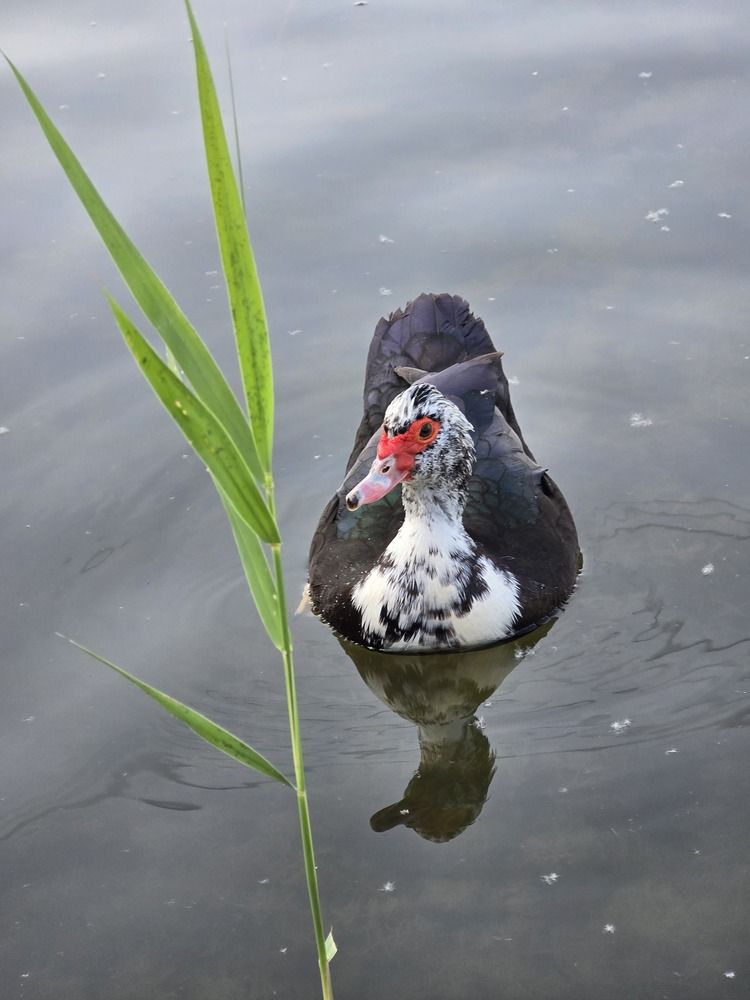 Photograph by Елена Ибрагимова