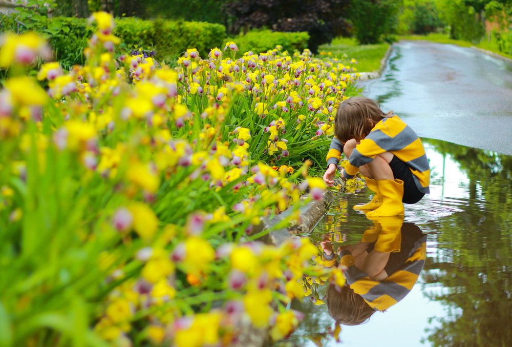 Photograph by Елена Сиднина