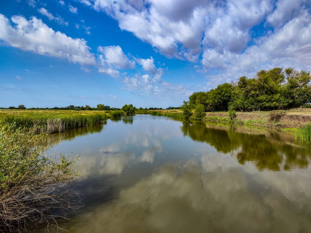 Photograph by Ирина Шибитова