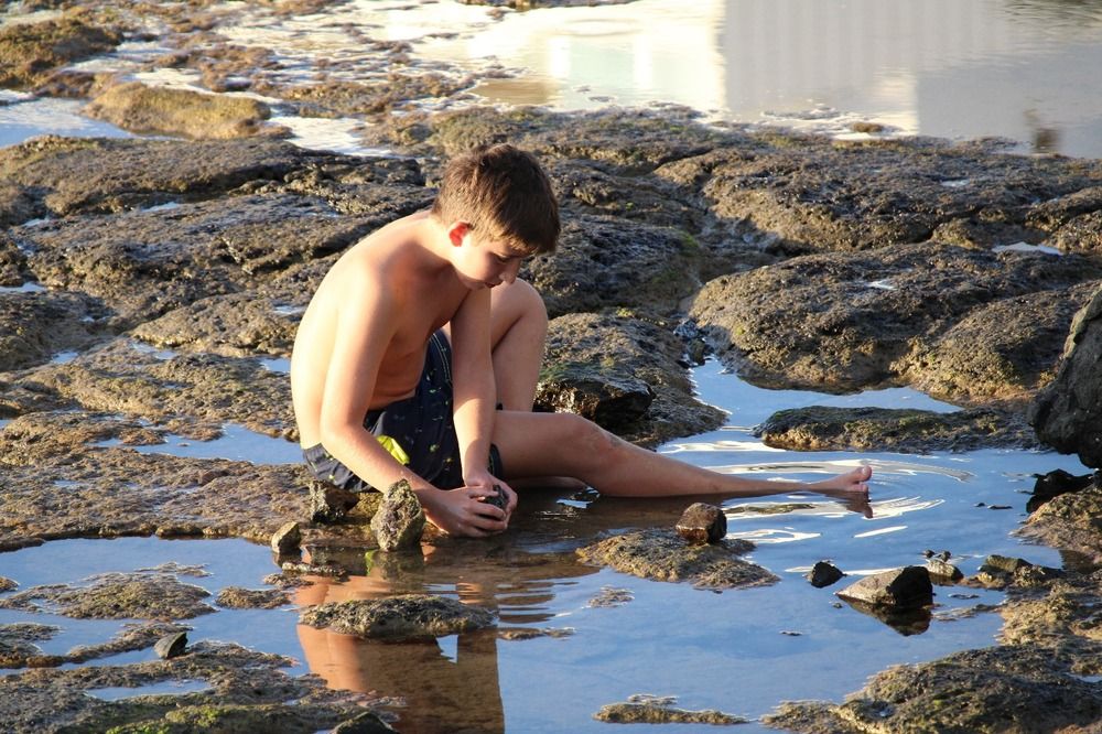 Фотография автора Nieves Gloria Alvarez Diaz