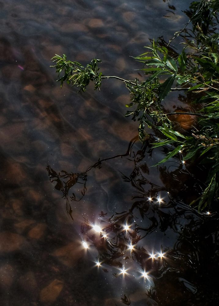 Photograph by Андрей Березин