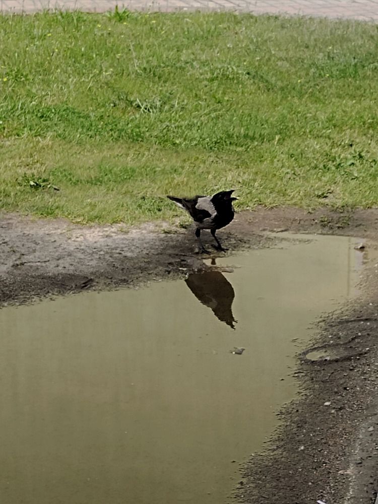 Photograph by Ирина Семенович