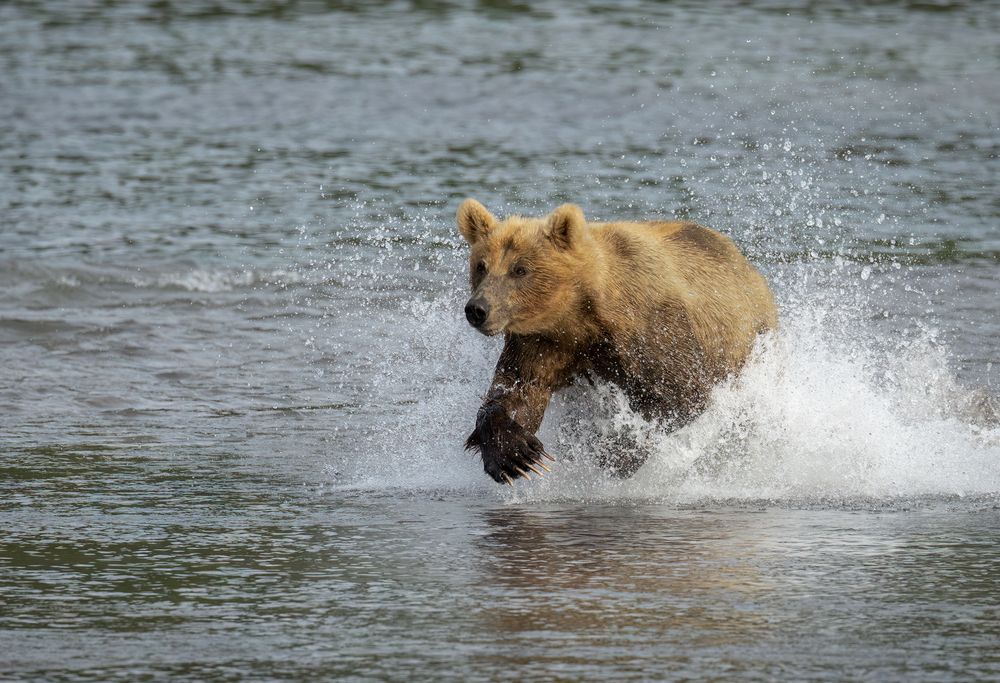 Photograph by Галина Павлова