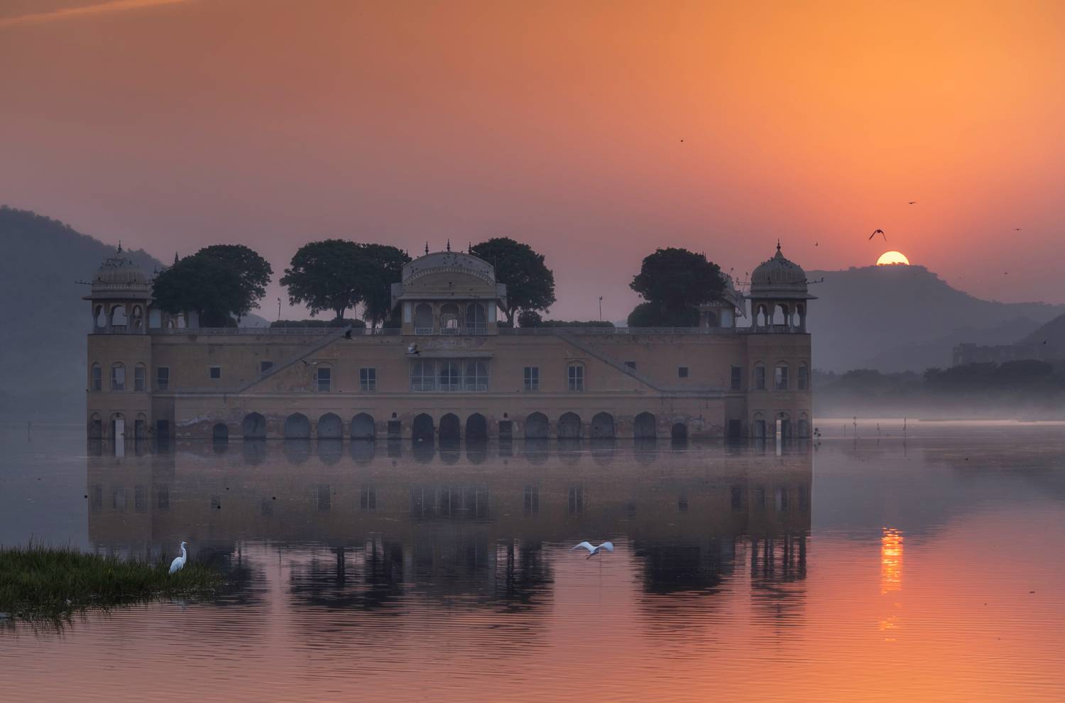 Фотография #12292875