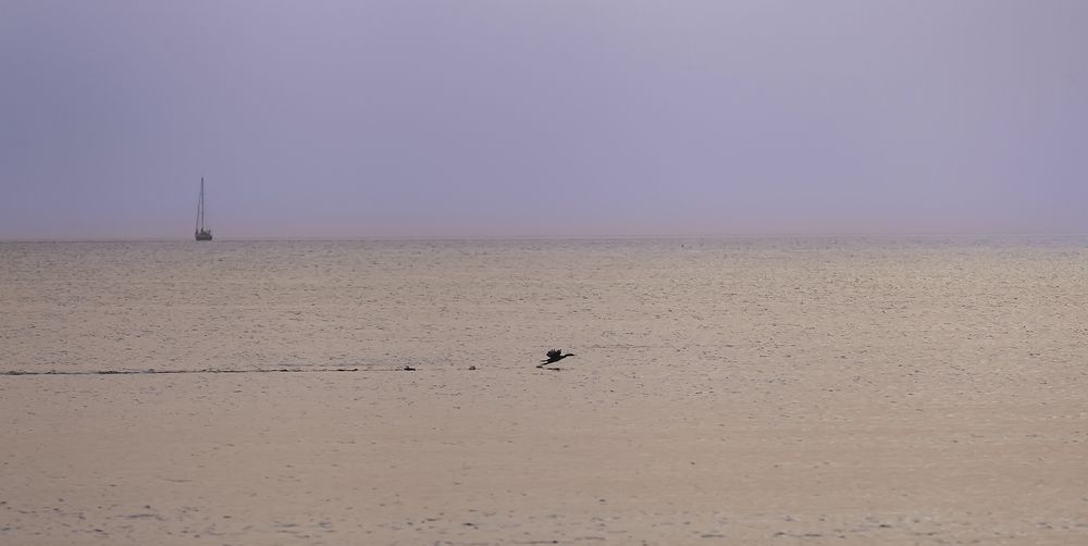 Photograph by Широких Александр