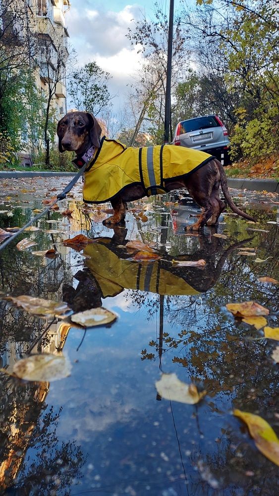 Photograph by Ольга Макаревич