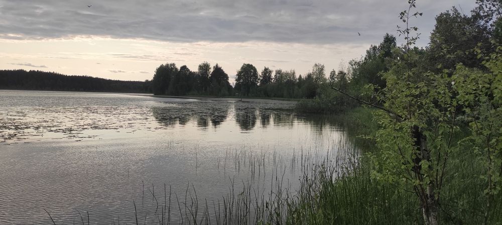 Photograph by Юлия Новожилова