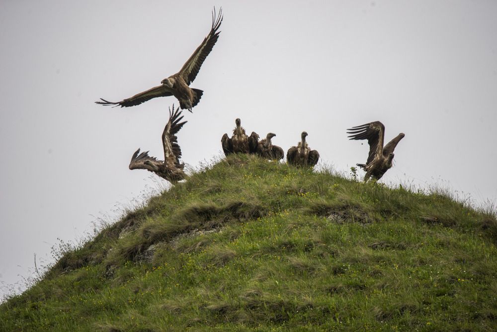 Photograph by Артем Шумов