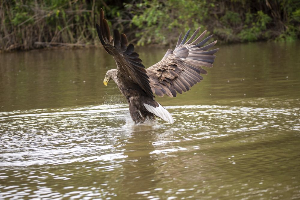 Photograph by Артем Шумов