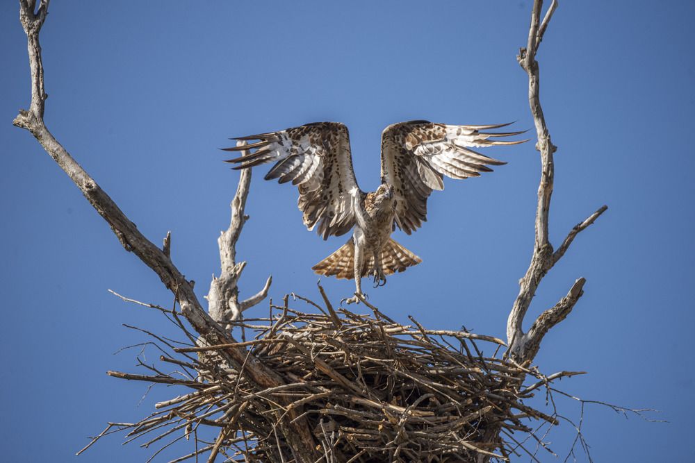 Photograph by Артем Шумов