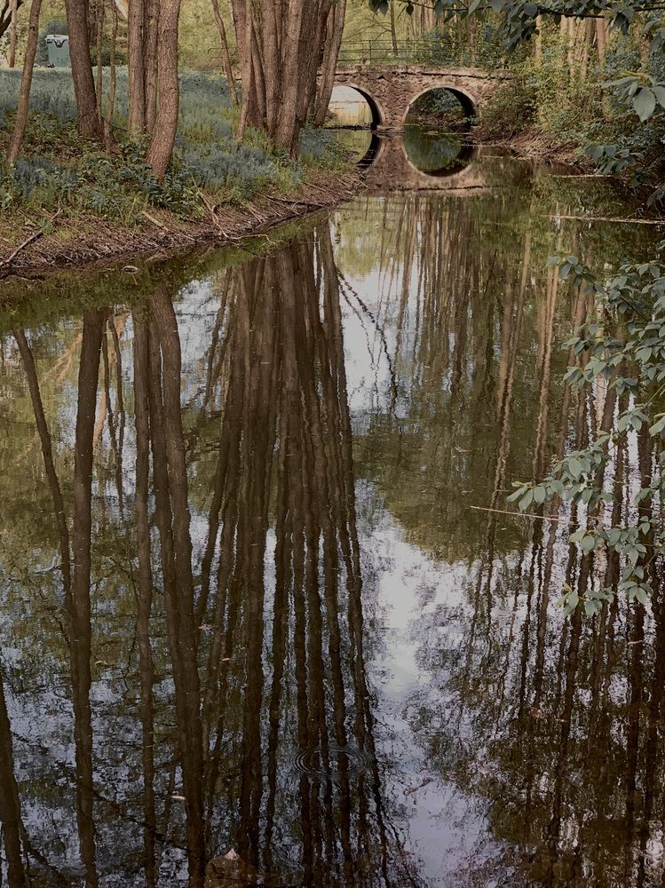 Photograph by Надежда Смирнова