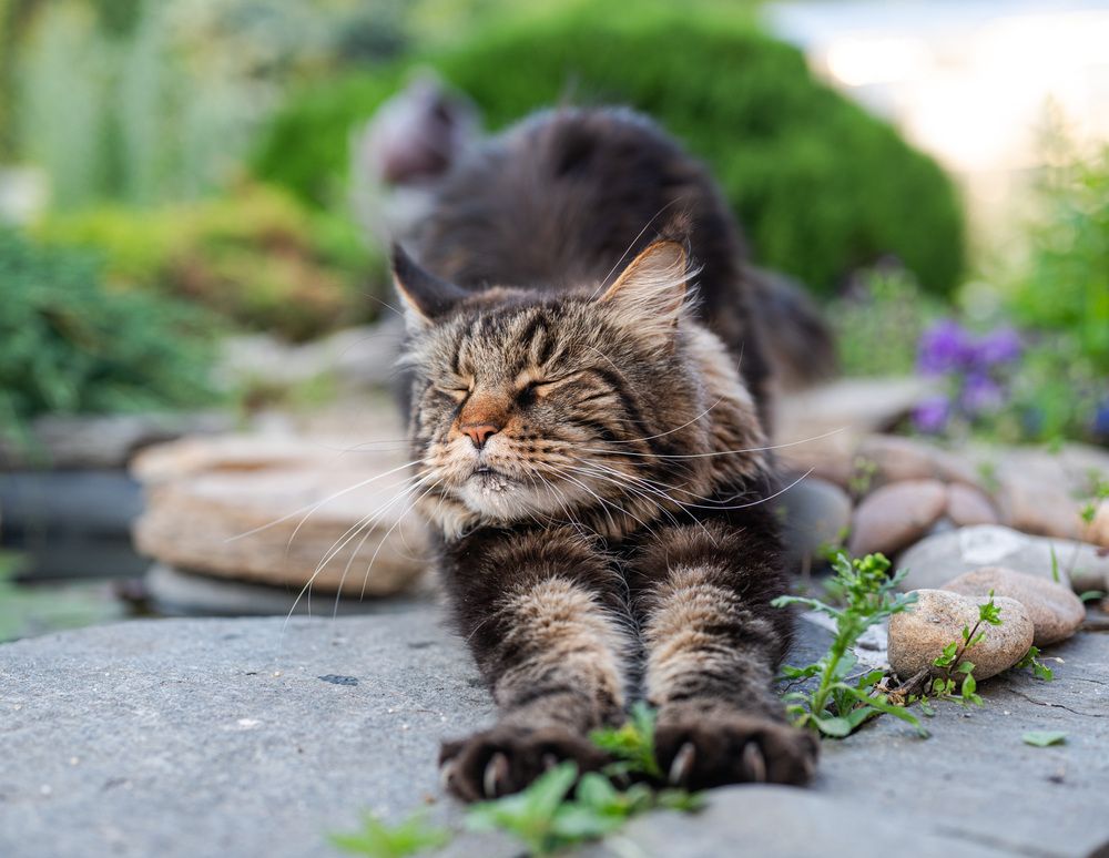 Photograph by NADEZHDA PELYMSKAIA