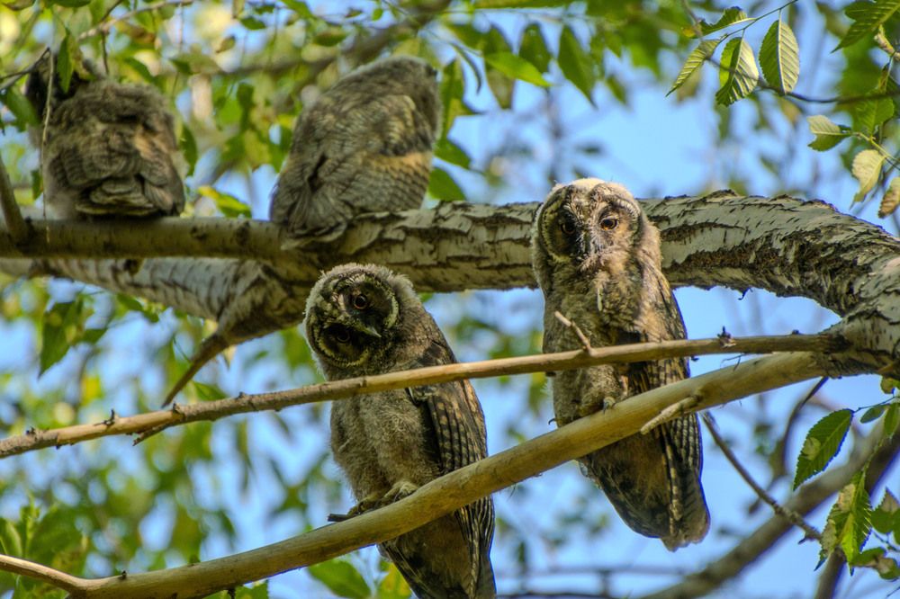 Photograph by Валерий Лунев