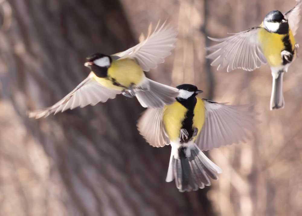 Photograph by Веретельников Дмитрий