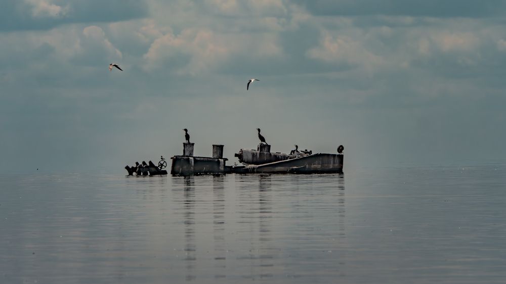 Photograph by Алексей Акулин