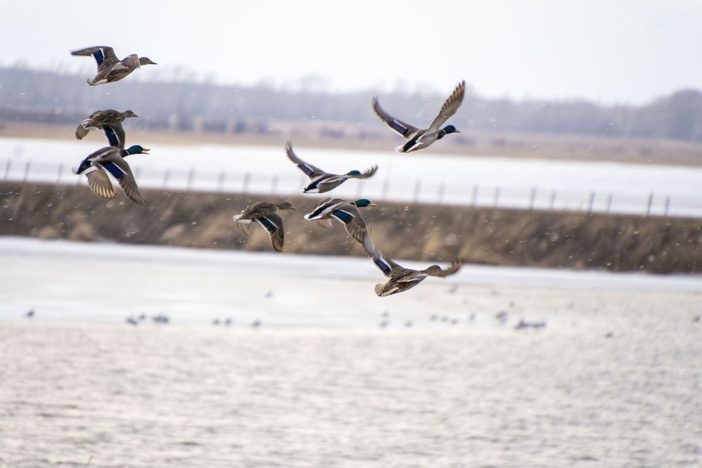 Photograph by Валерий Лунев