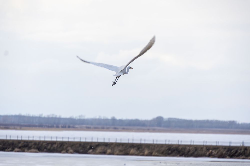 Photograph by Валерий Лунев