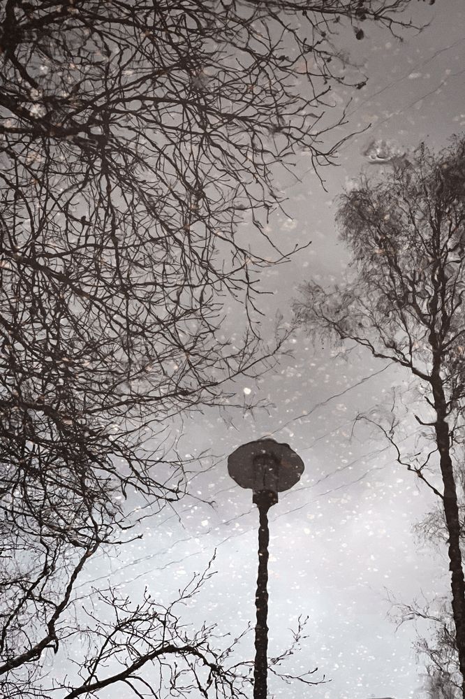 Photograph by Елена Чулюнина