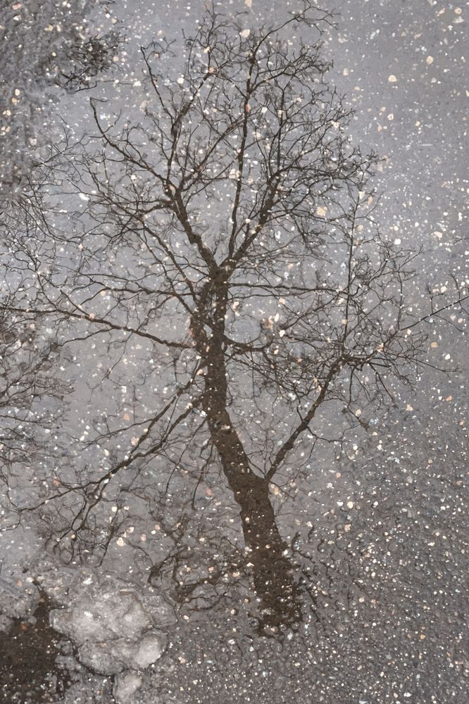 Photograph by Елена Чулюнина