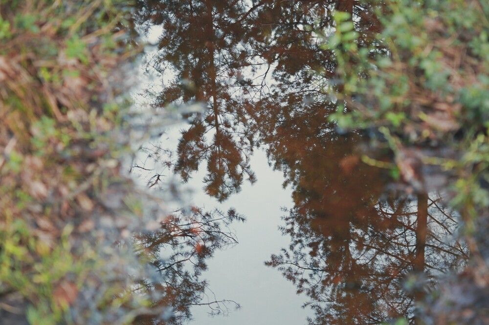 Photograph by Виктория Иорданова