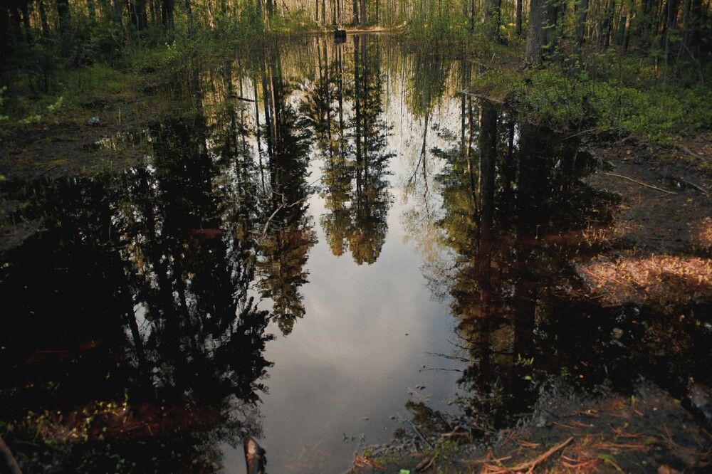 Photograph by Виктория Иорданова