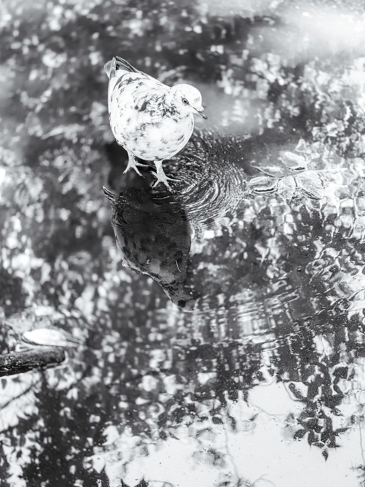 Photograph by Елена Чулюнина