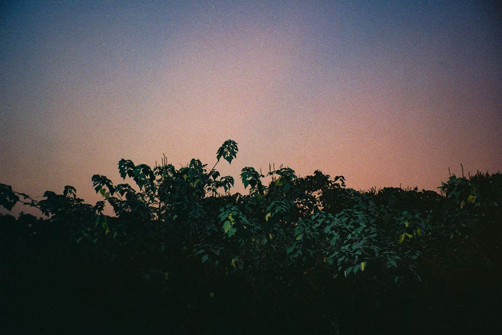 Photograph by Anne-Marie Cove