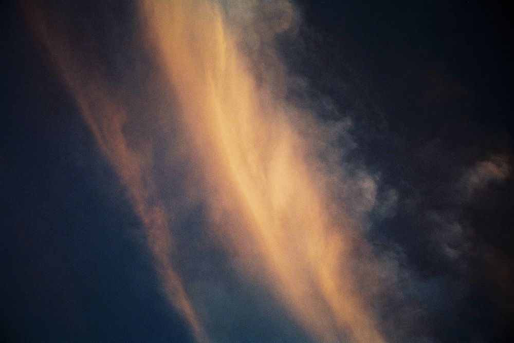 Photograph by Anne-Marie Cove