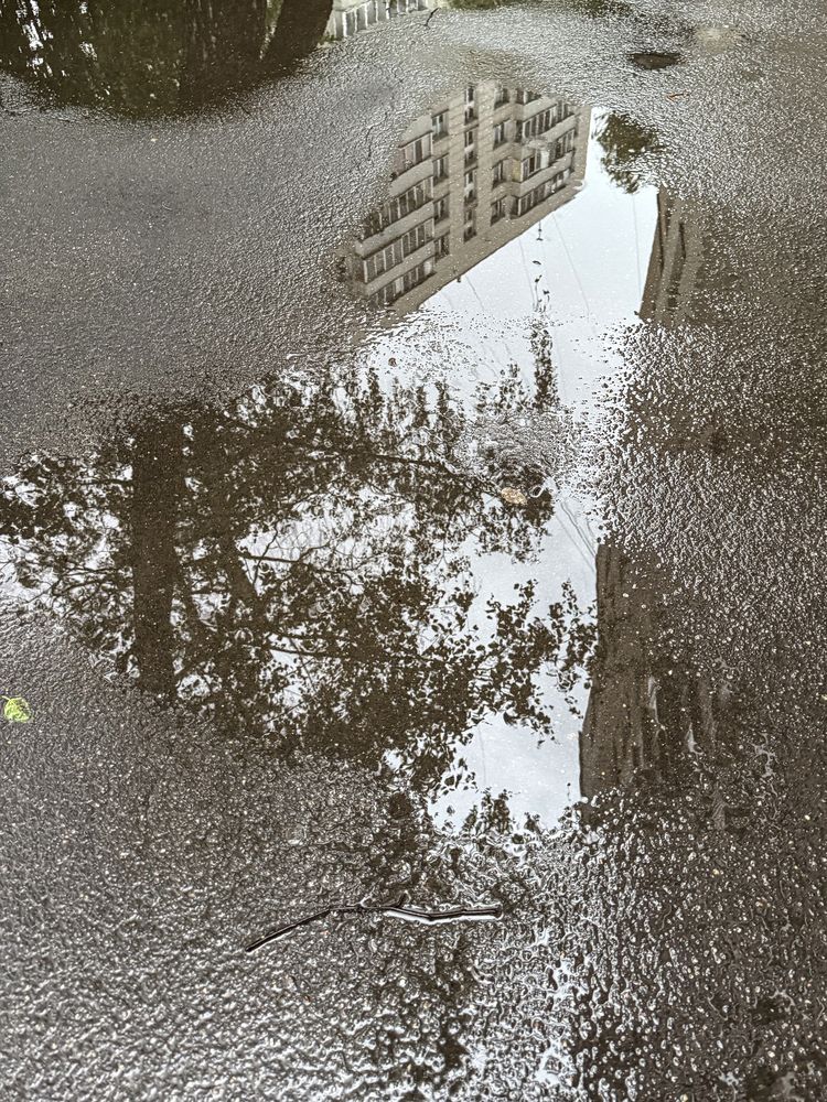 Photograph by Елена Чулюнина