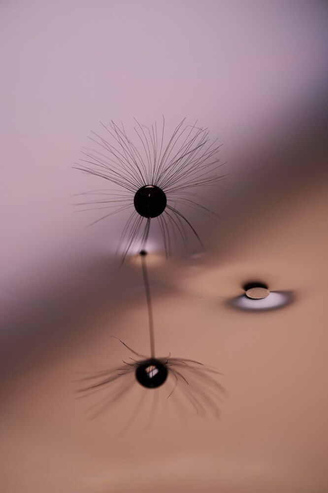 Photograph by Лажанский Руфат