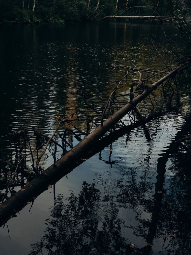 Photograph by Алиса Нежинская