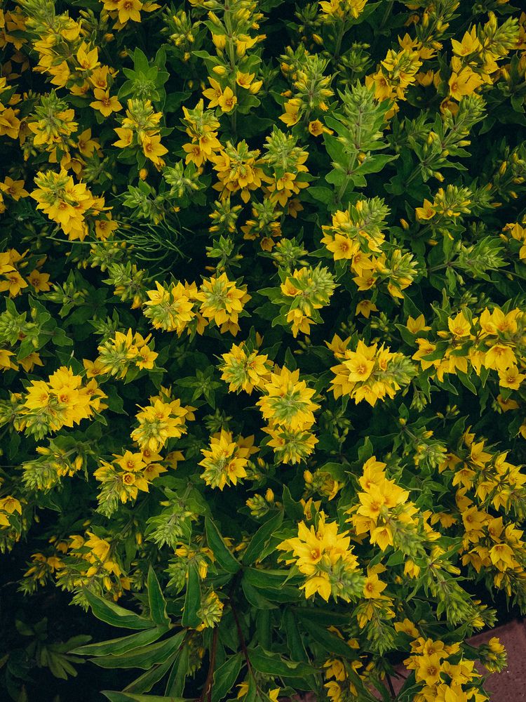 Фотография автора Марина