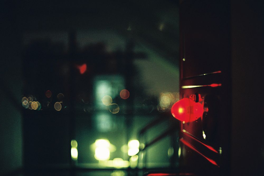 Photograph by Anne-Marie Cove