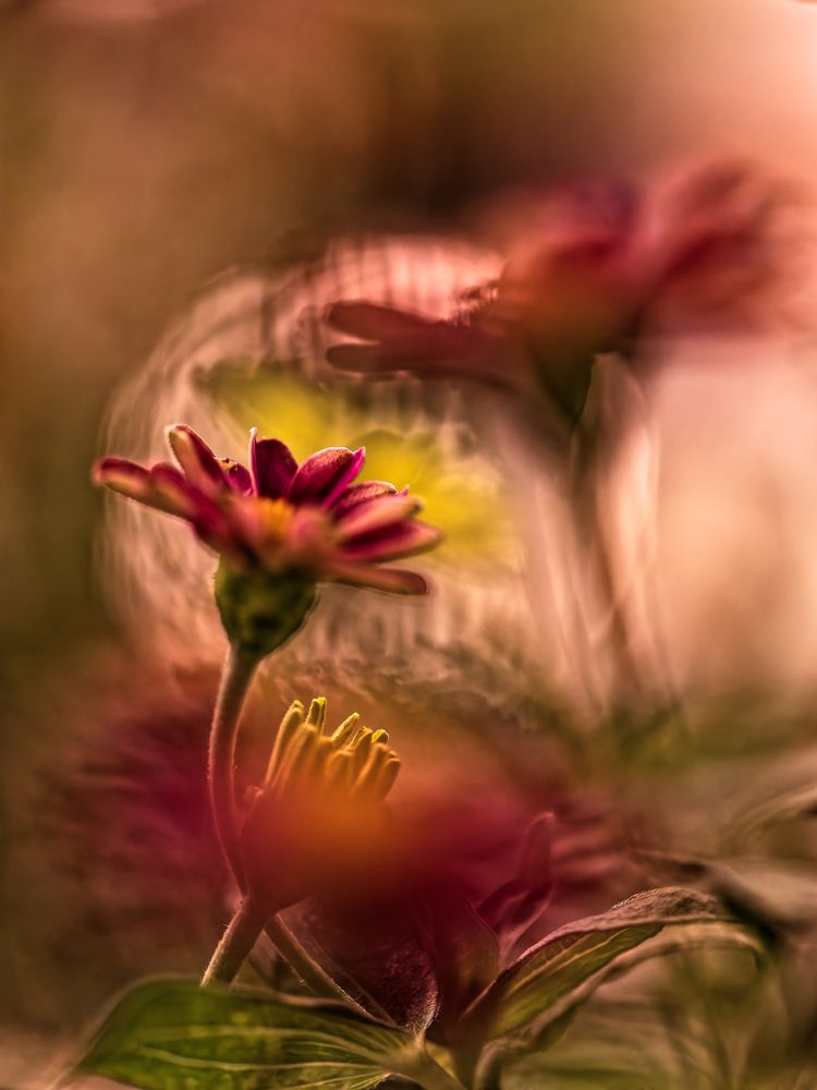 Photograph by hiro
