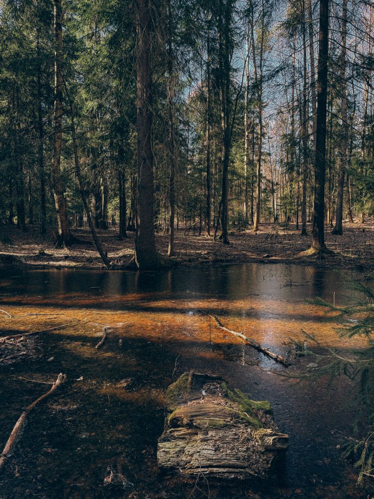 Photograph by Александра Кишикова