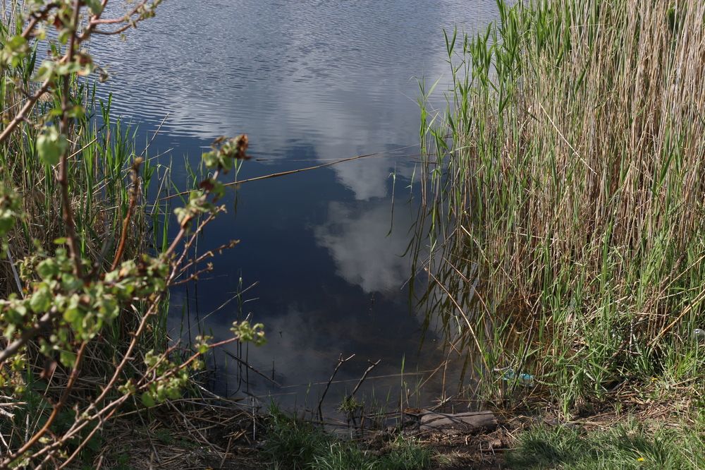 Photograph by АЛЛА ТАРАСЕНКО