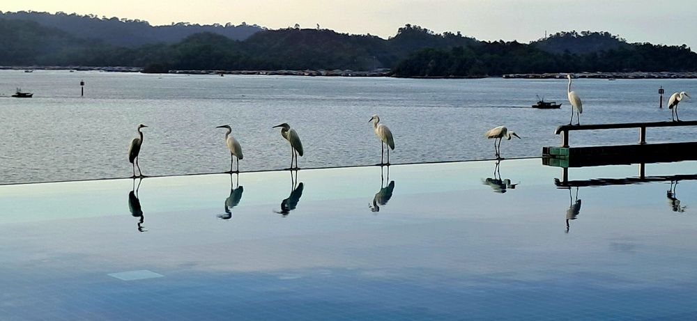 Photograph by FELOMINA ENDEREZ