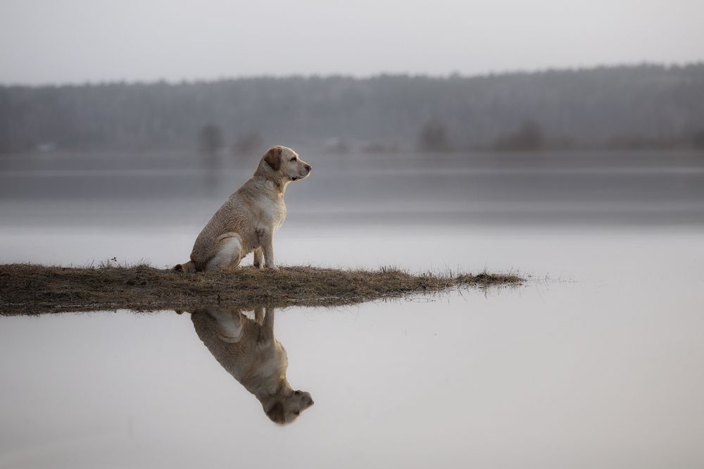 Photograph by Мария Шерскова
