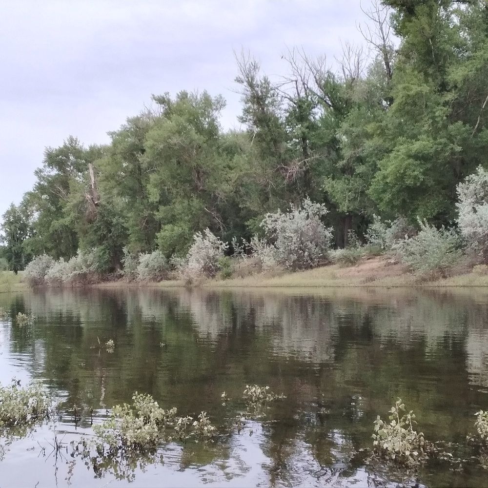 Photograph by Васильева Львовна