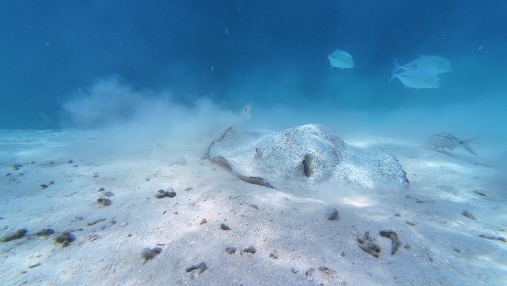 Photograph by Илья Ушак