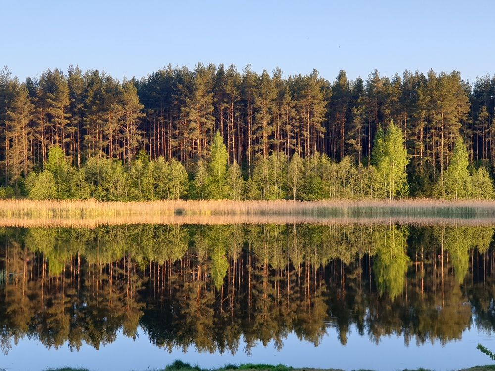 Фотография автора Ирина Дроздова