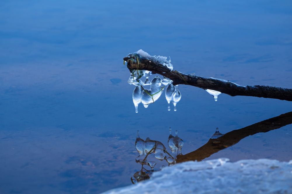 Photograph by Алина Руденко