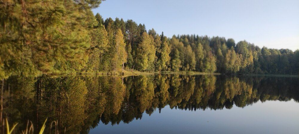 Photograph by Юлия Новожилова