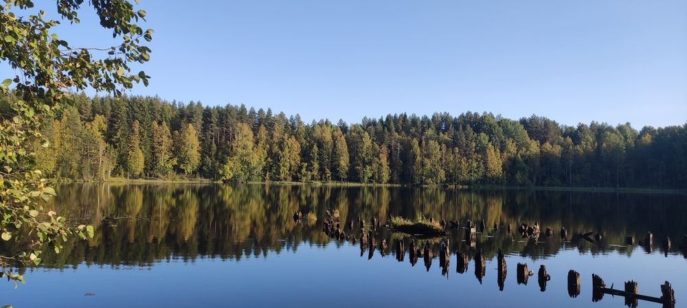 Photograph by Юлия Новожилова