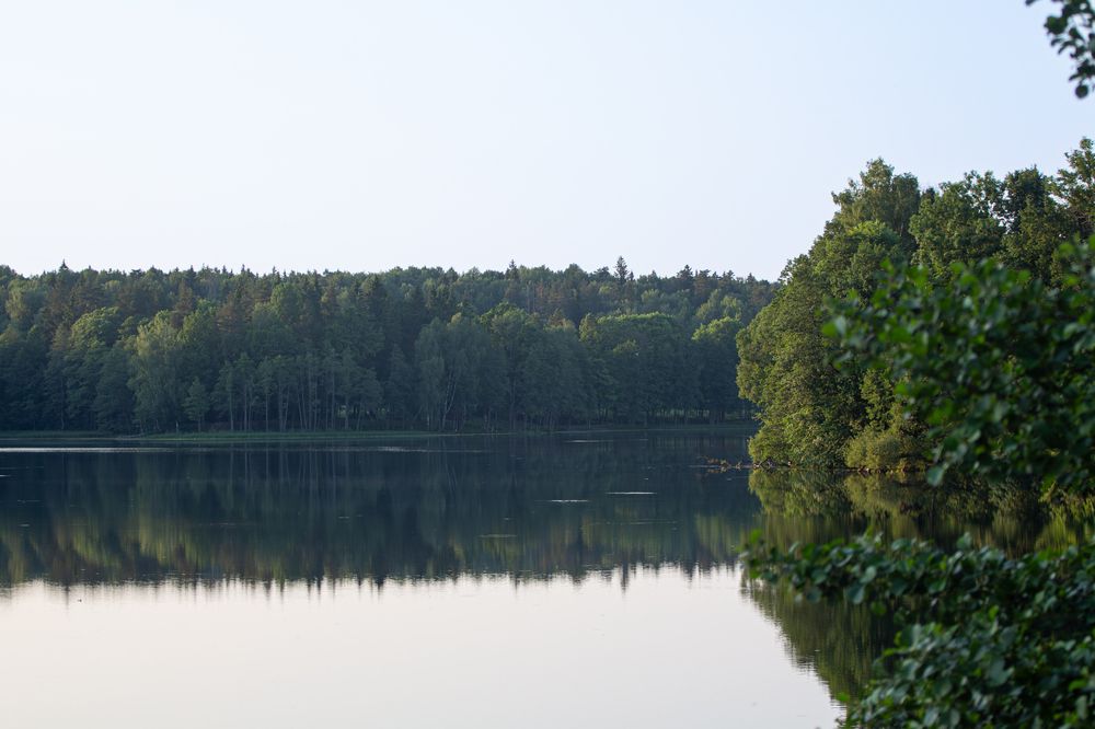 Фотография автора Алина Руденко