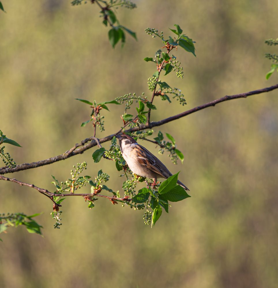 Фотография автора Алина Руденко