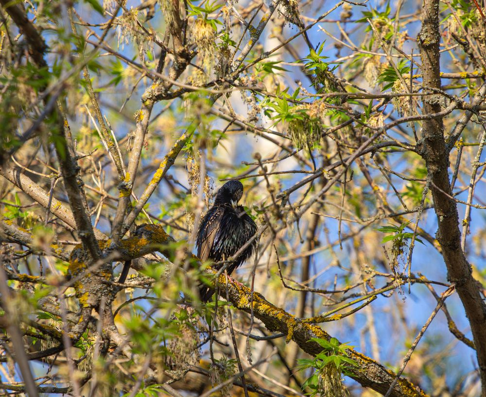 Фотография автора Алина Руденко